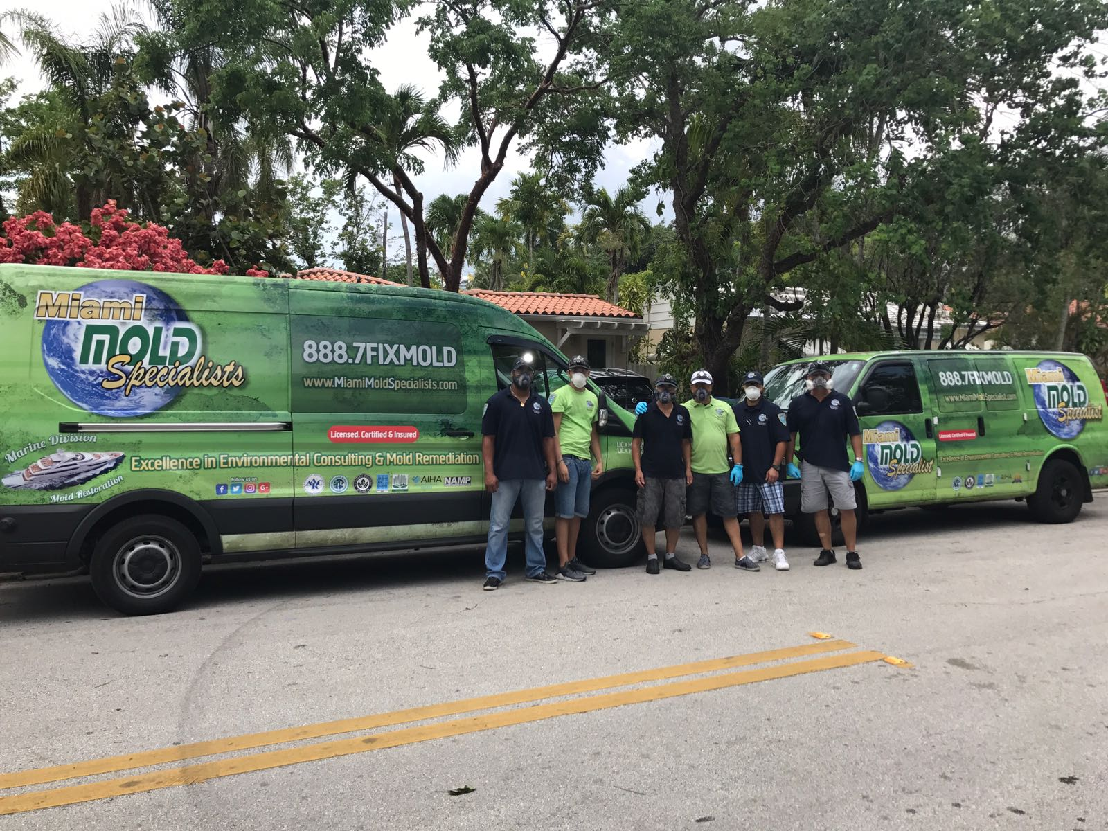 Company Logo For Miami Mold Specialists'