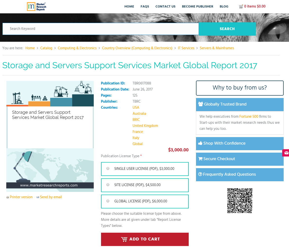 Storage and Servers Support Services Market Global Report'