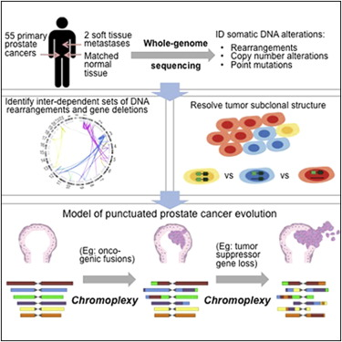 World Cancer Genome Sequencing Market