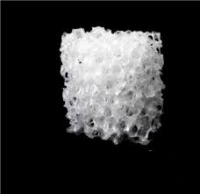 Bioresorbable (Resorbable) Polymers Market