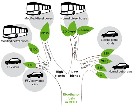 Bio-Based Propylene Glycol Market'