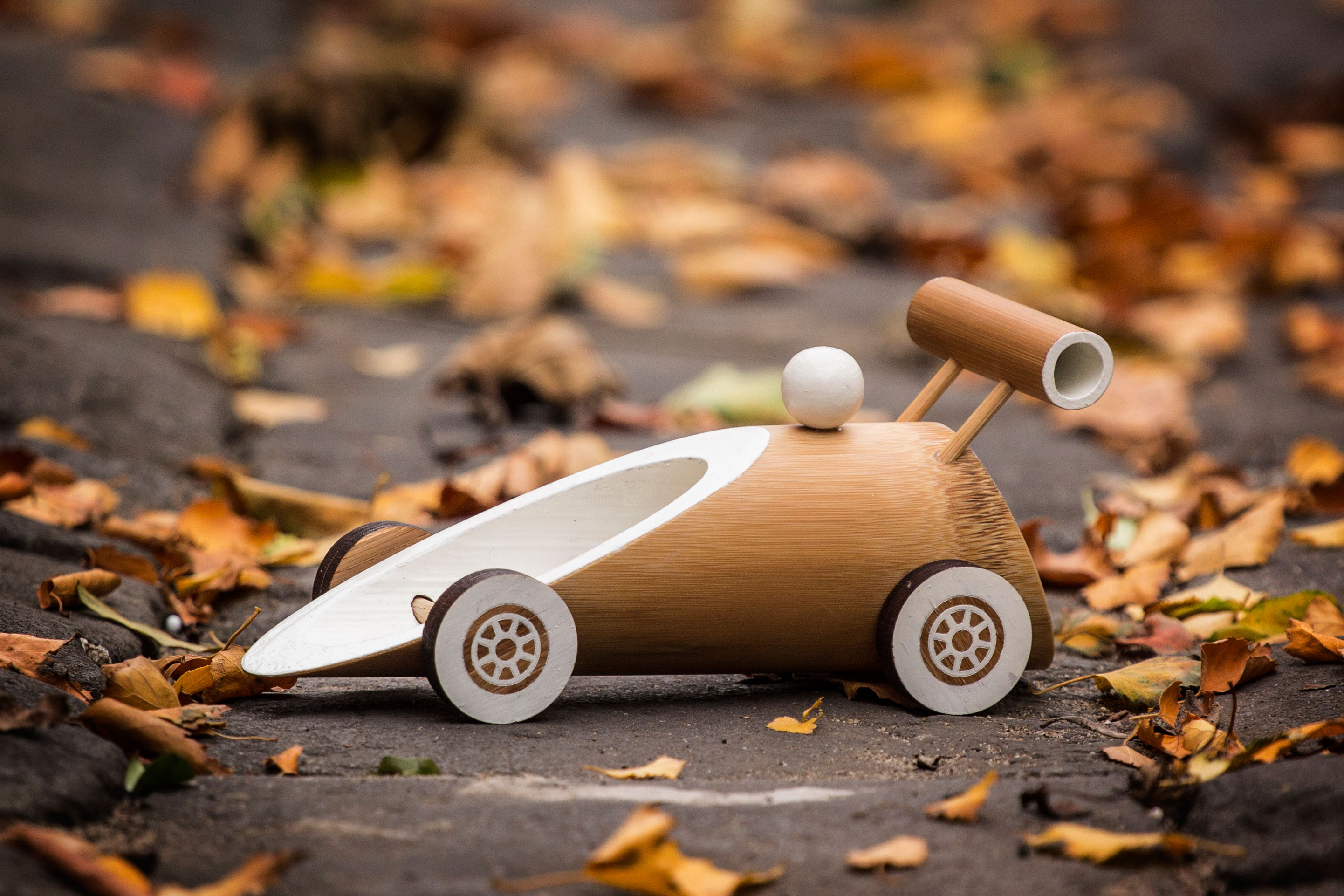 F1 Racer'