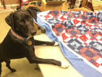 Service Dog with Wounded Warrior Quilt