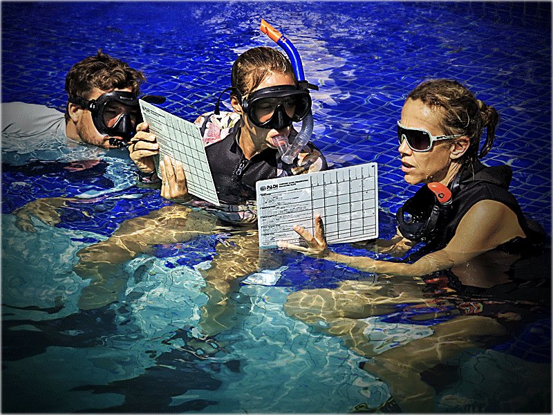 Platinum PADI Course in Gili Islands, Indonesia