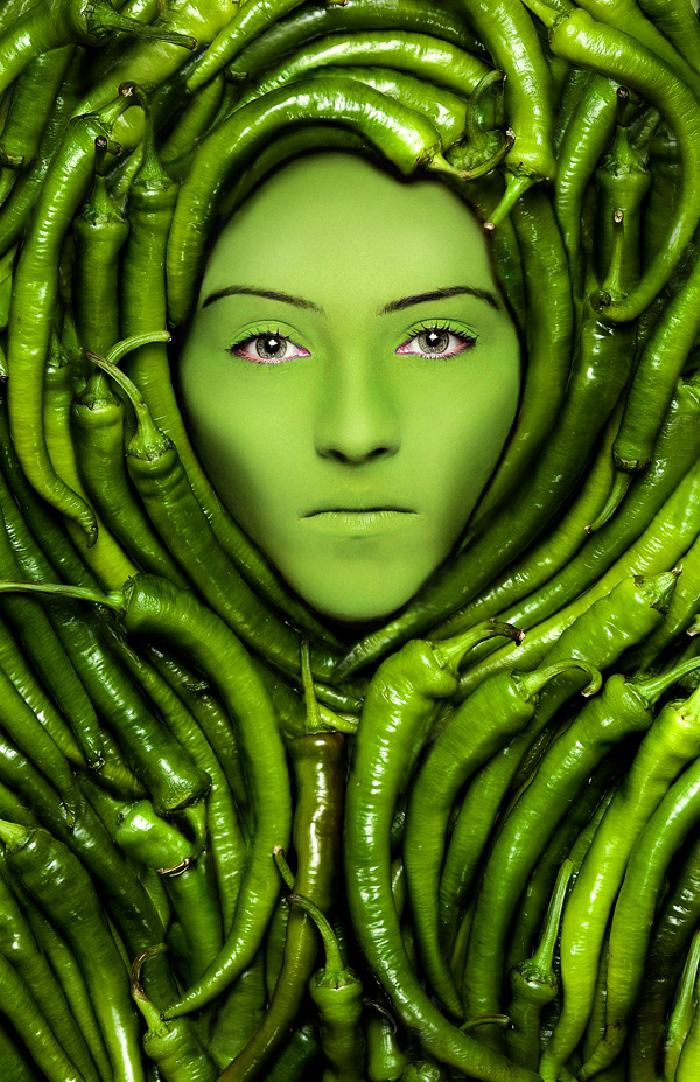 Logo for Advance Hair Extensions London'