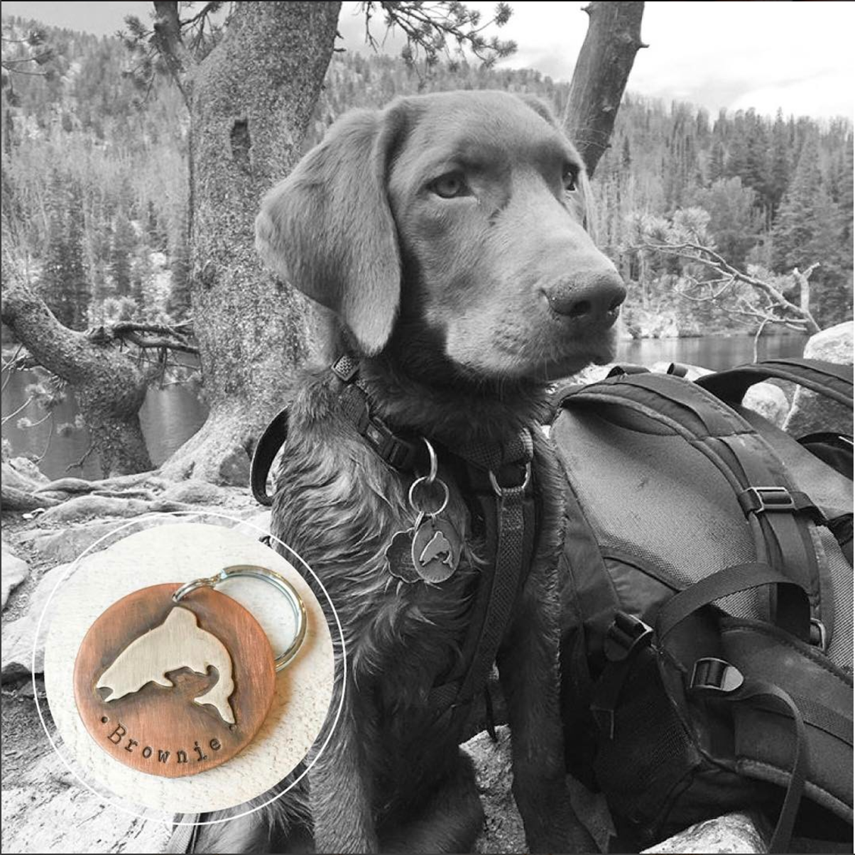 Custom Jumping Trout Pet ID Tag by Hattie Rex.