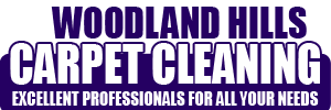 Company Logo For Carpet Cleaning Woodland Hills'