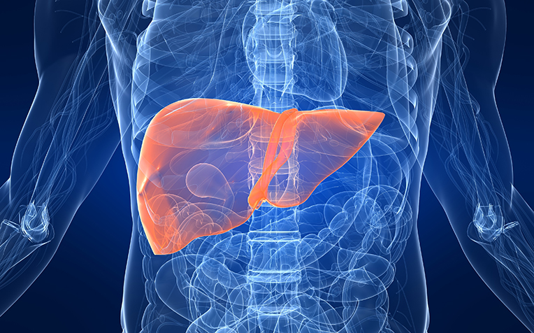 Non-Alcoholic Steatohepatitis (NASH) Market'