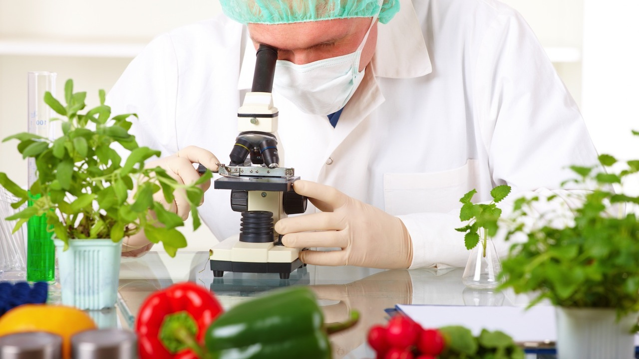 Food Biotechnology Market : Global Opportunity Analysis 2017'