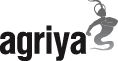 Leading Web Development Company'