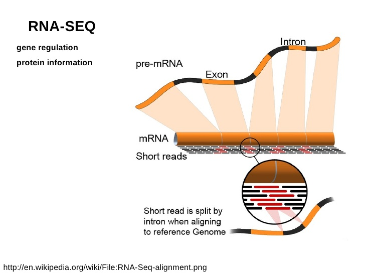 RNA Sequencing Market : technological 2017-2023