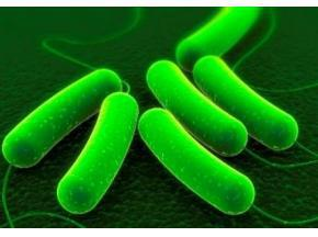 Viral Vectors and Plasmid DNA Manufacturing Market :Analysis'