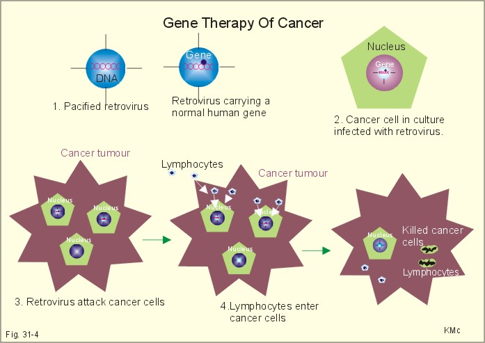 Cancer Gene Therapy Market'