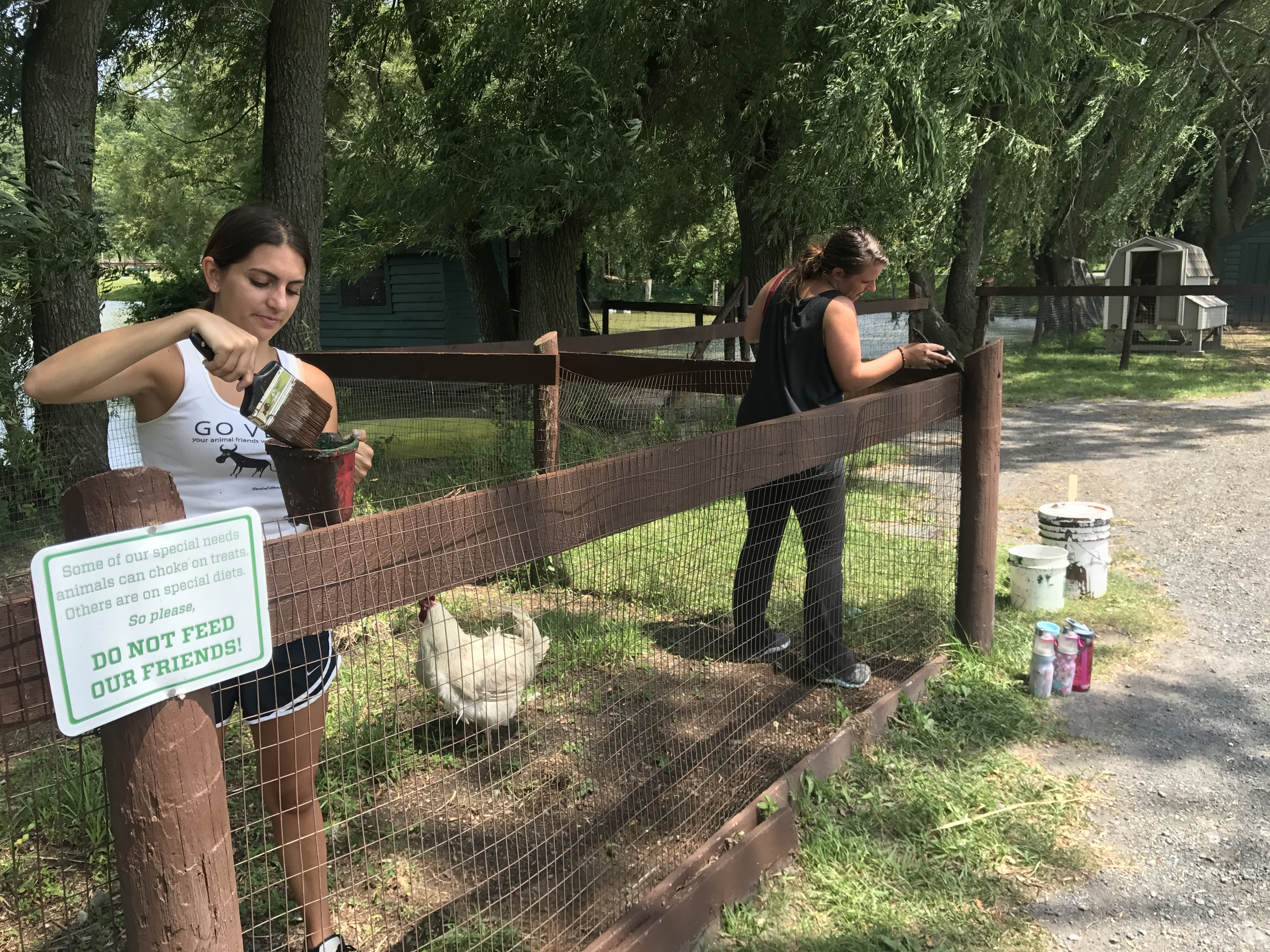 ISF Youth at Catskill Sanctuary'