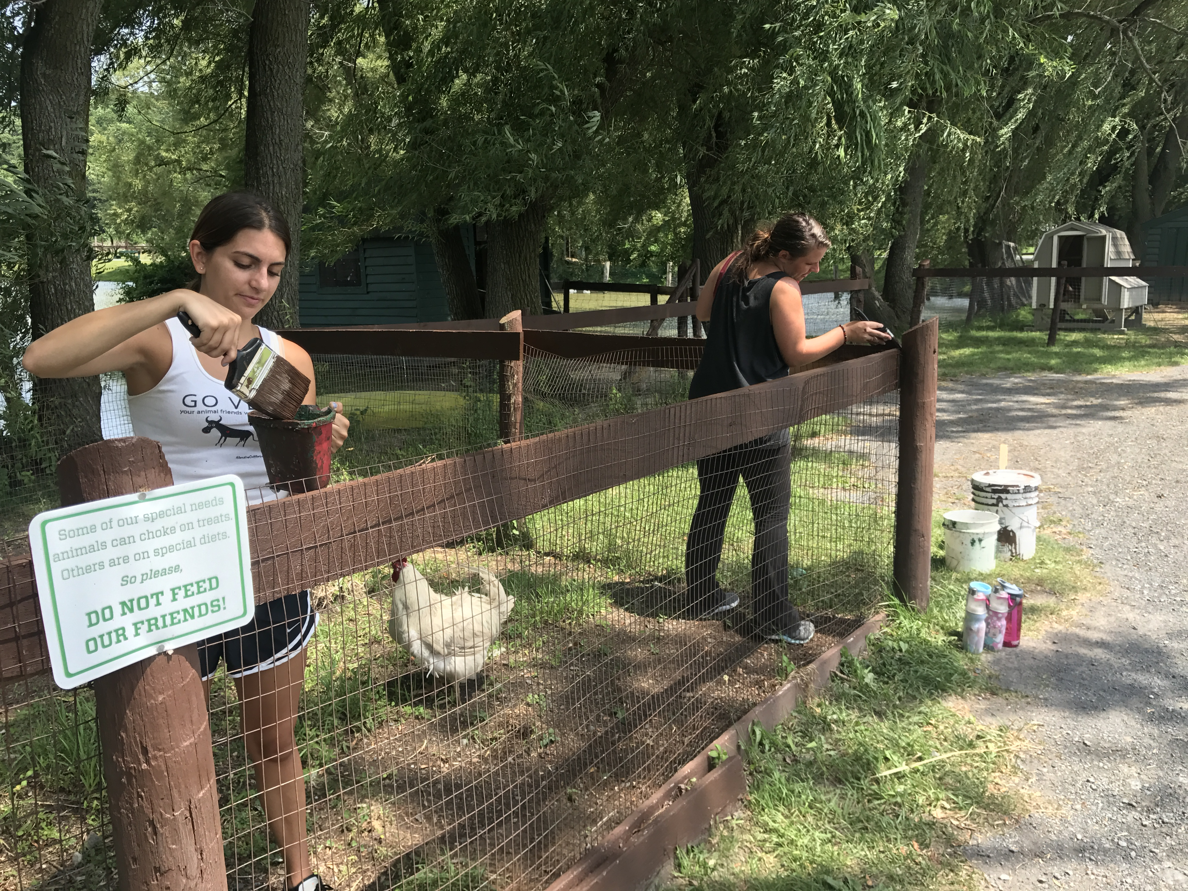 ISF Youth at Catskill Sanctuary