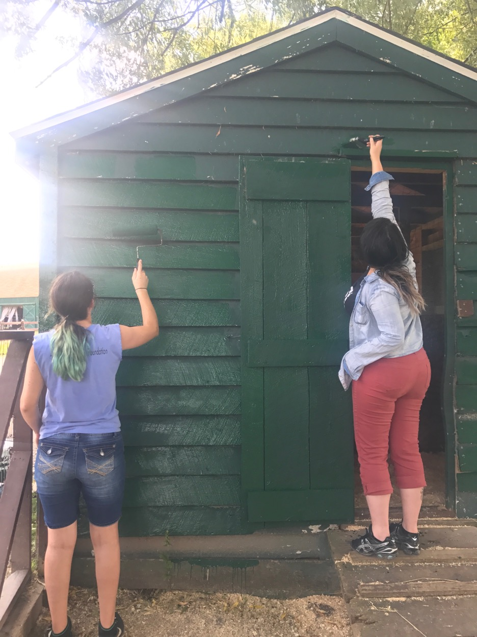 ISF Youth at Catskill Sanctuary