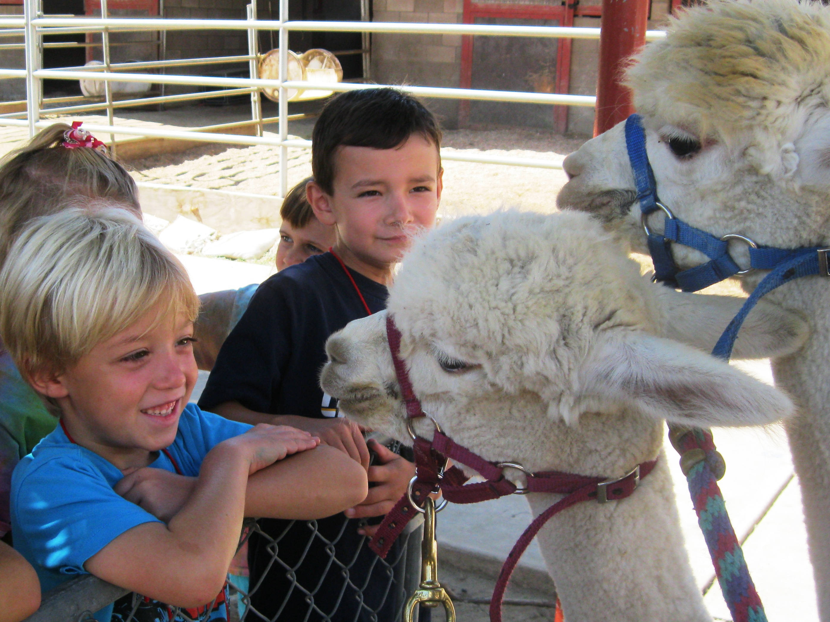 Upcoming Helen Woodward Animal Center Youth Day with ISF'