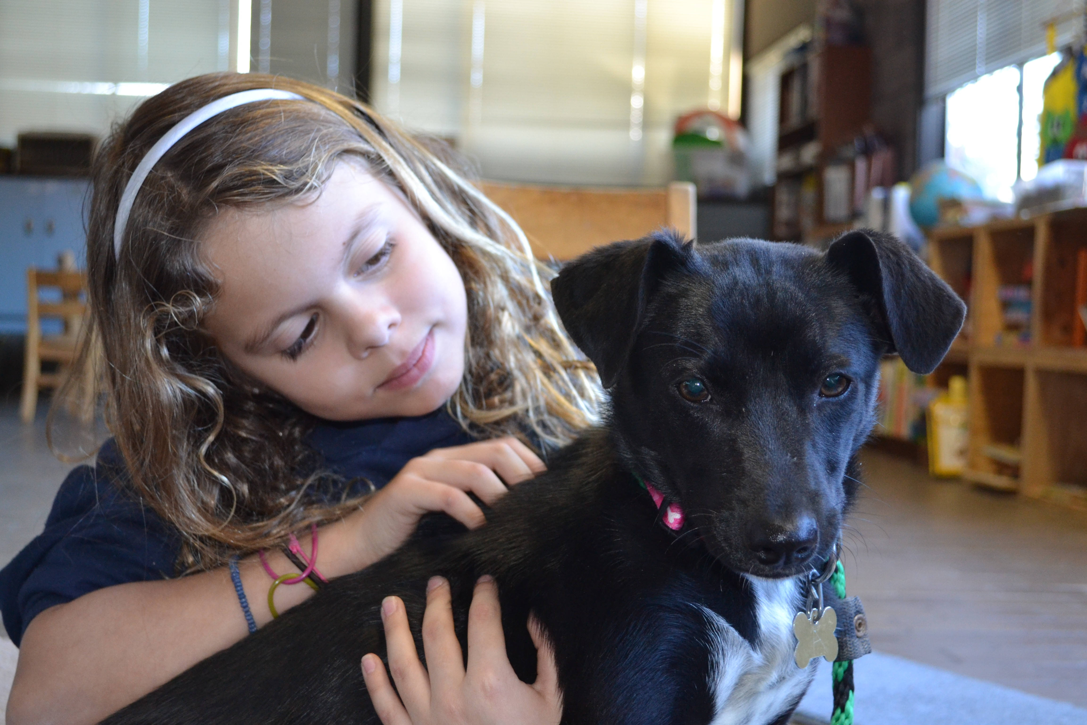 Helen Woodward Animal Center Youth Day with ISF'