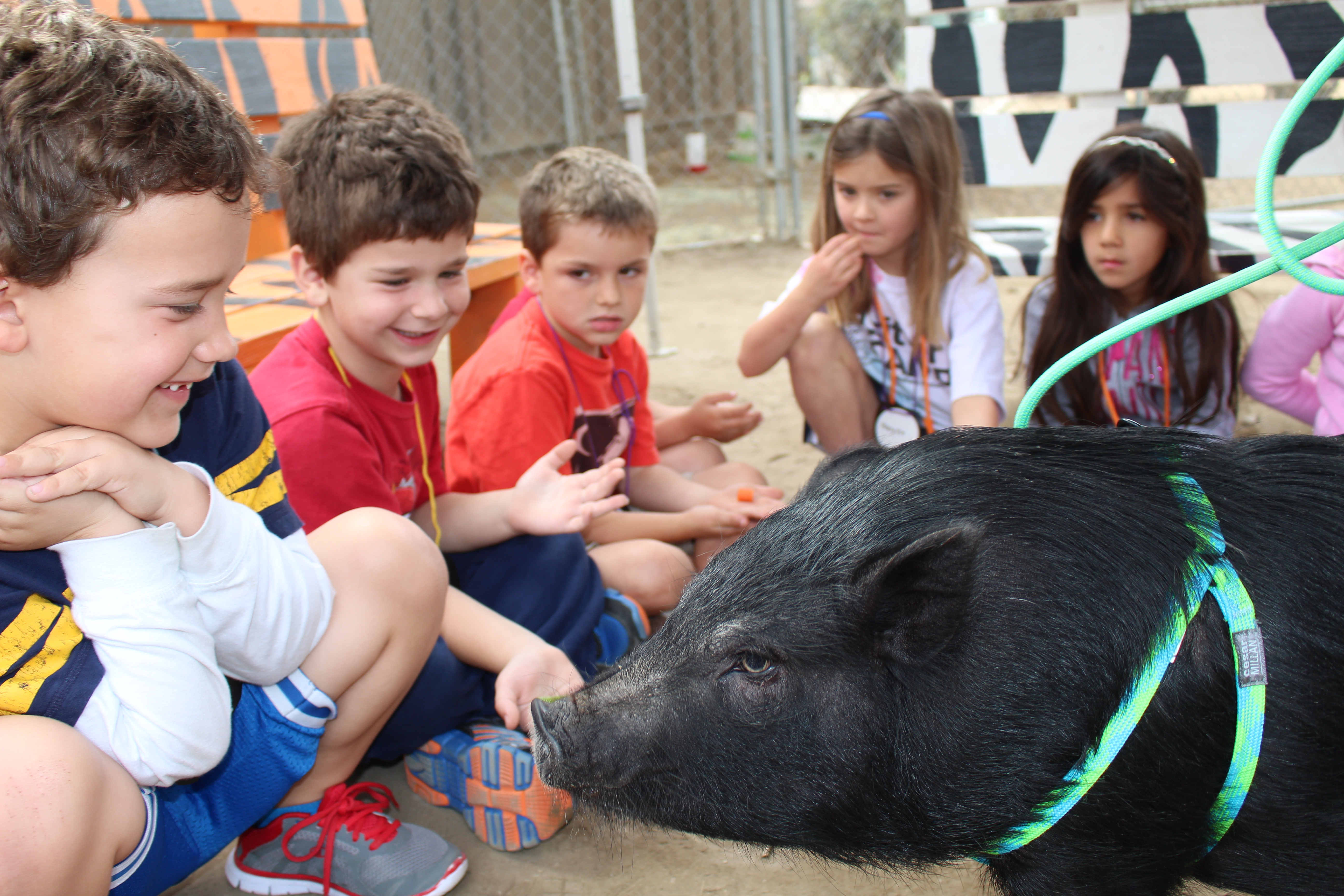 Helen Woodward Animal Center Youth Day with ISF'