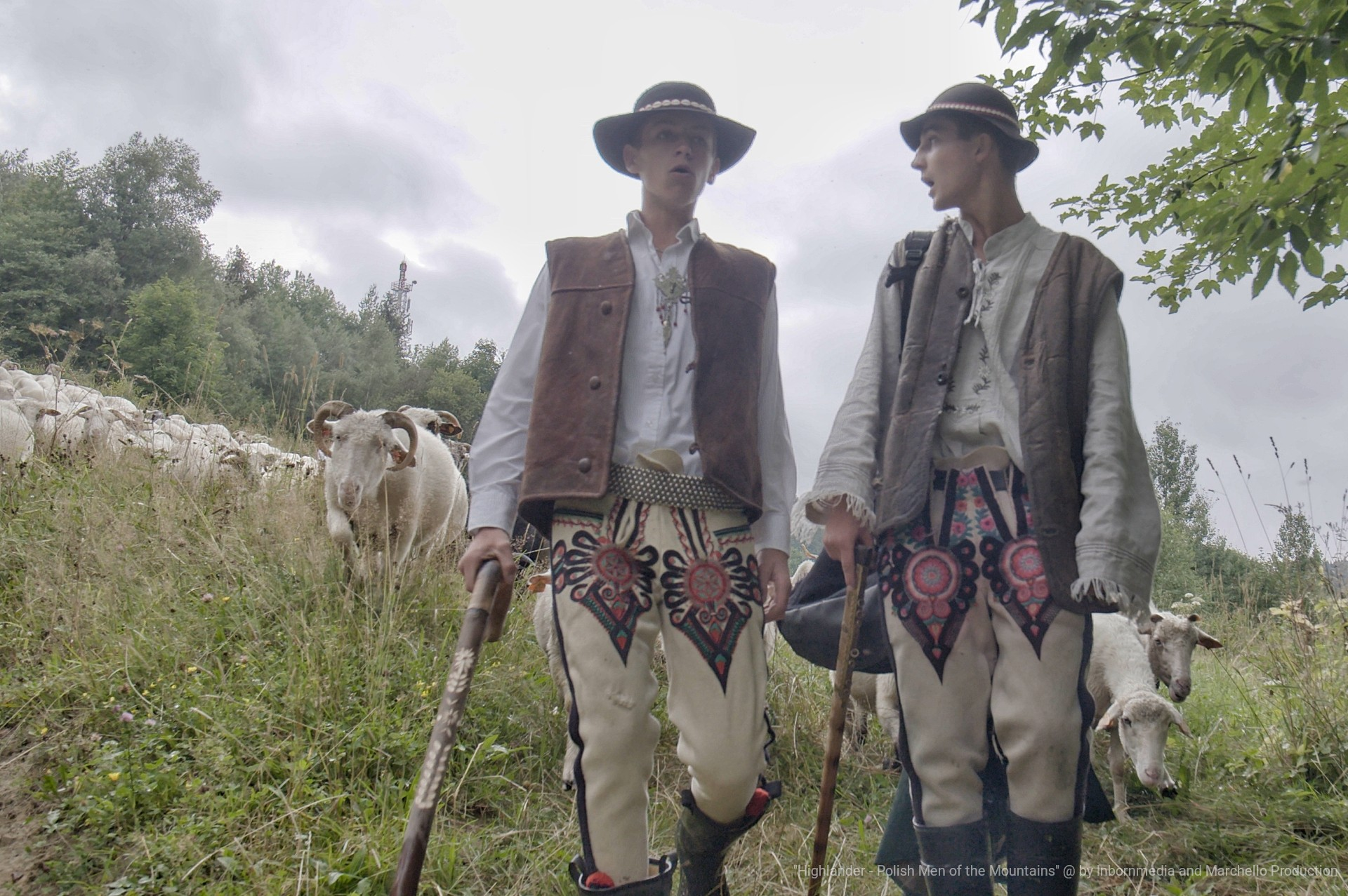 Highlander - shepperds'