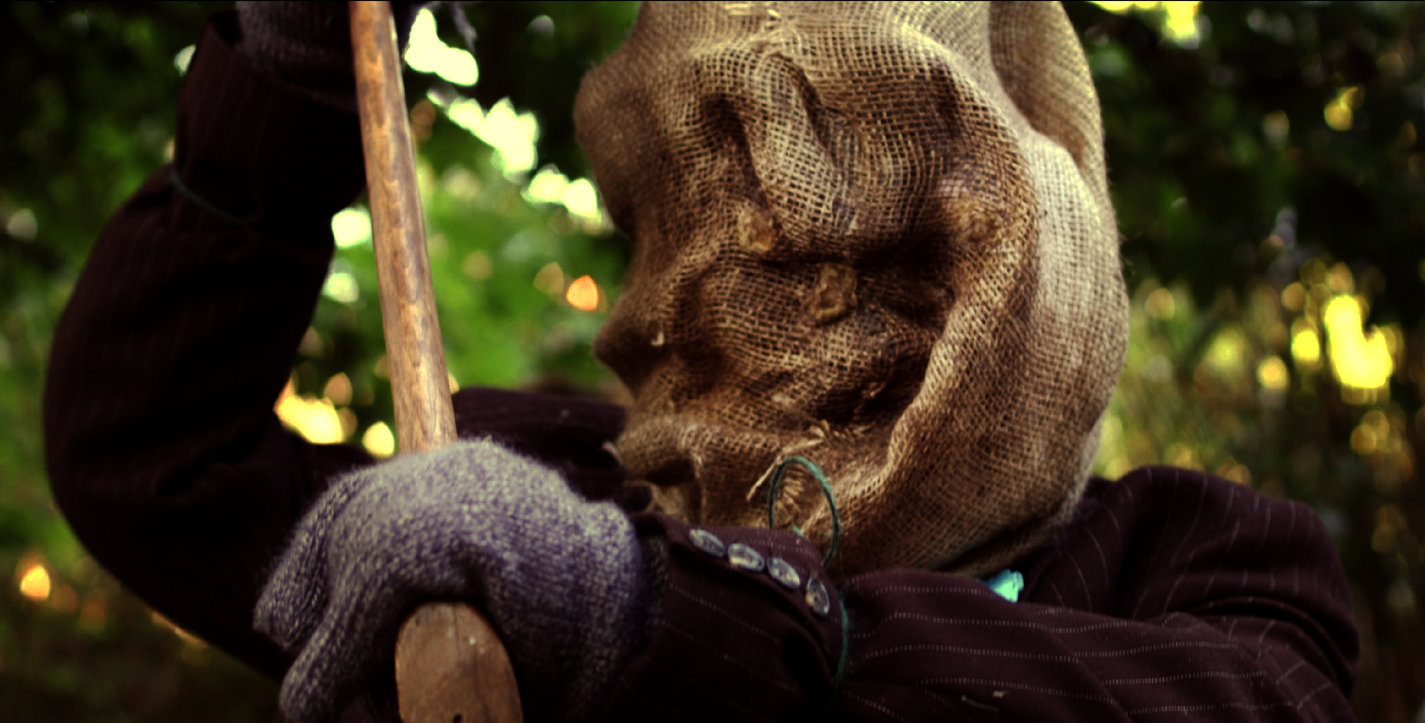 A Scareycrow is on the loose!'