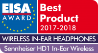 BEST WIRELESS IN-EAR HEADPHONES OF THE YEAR