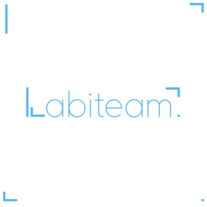 Company Logo For Labiteam'