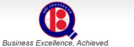 Logo for QBI Institute'