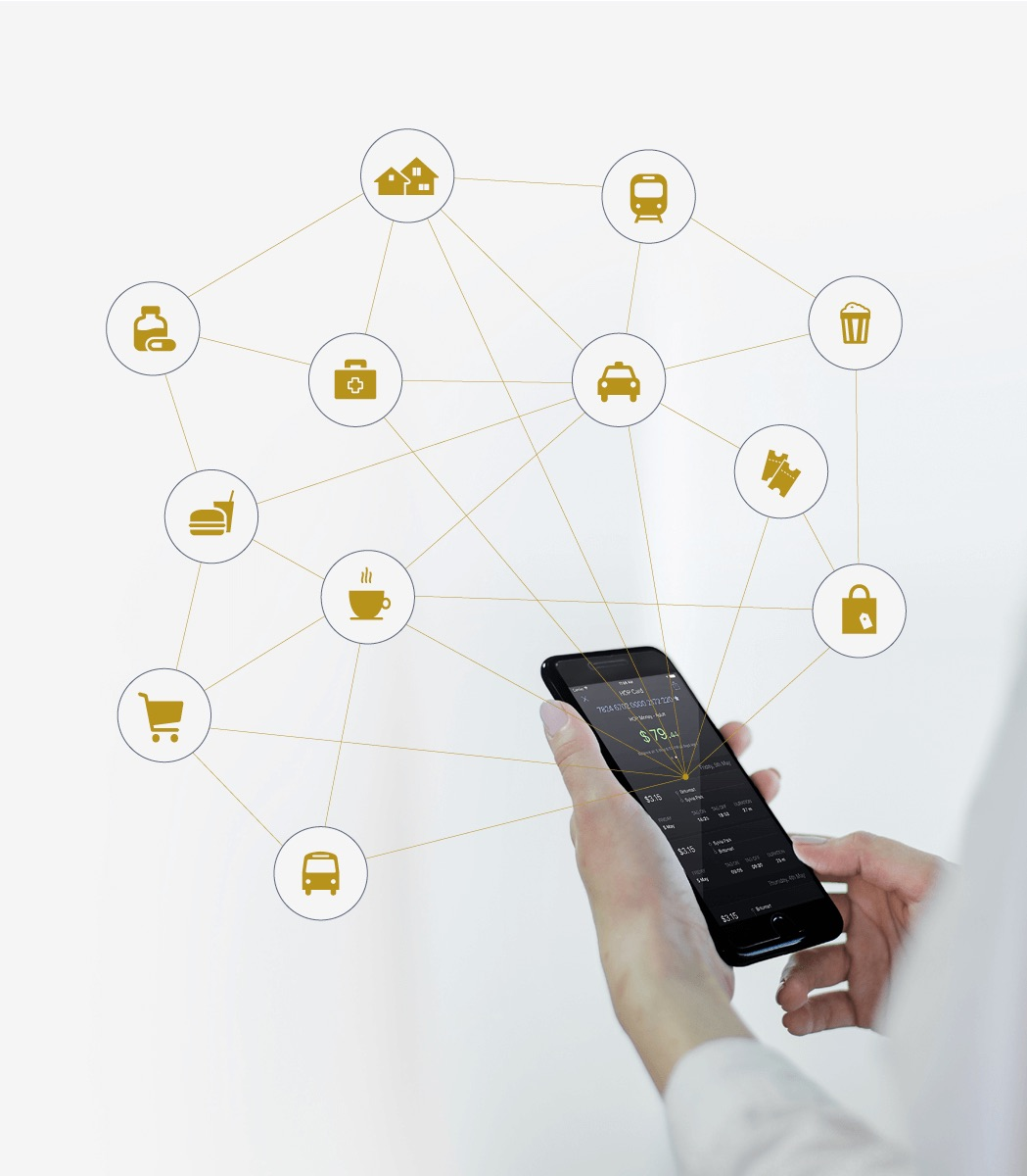 New Transportation App Kiwi Hub'