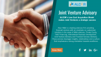 Joint Venture Advisory