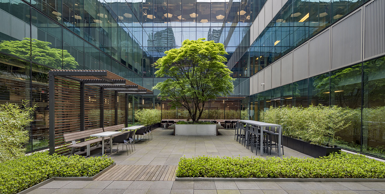 hire professional photographer in Toronto