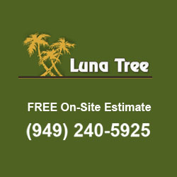 Company Logo For Luna Tree Service'