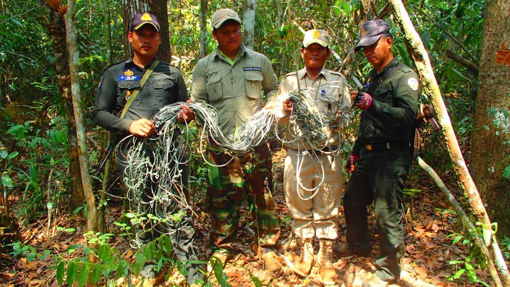 Wildlife Alliance