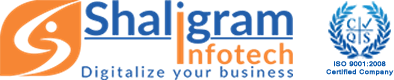 Software Development Company USA'