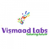 Company Logo For Vismaad Labs'