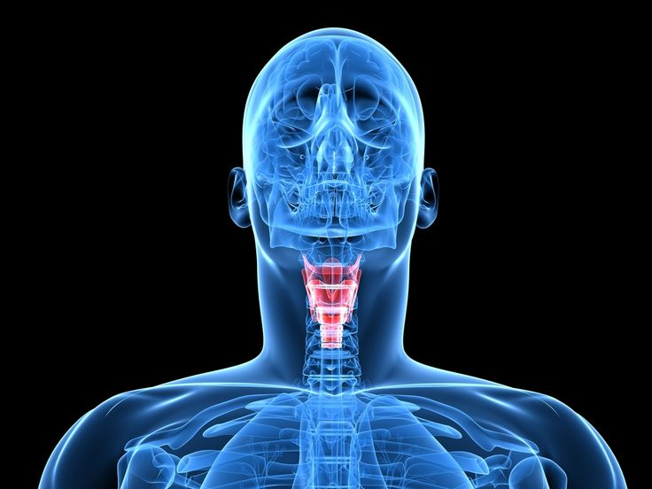 Thyroid Gland Disorder Treatment Market by Disease Type  : 2'