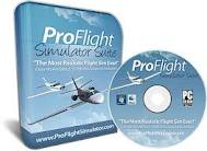 Pro Flight Simulator'