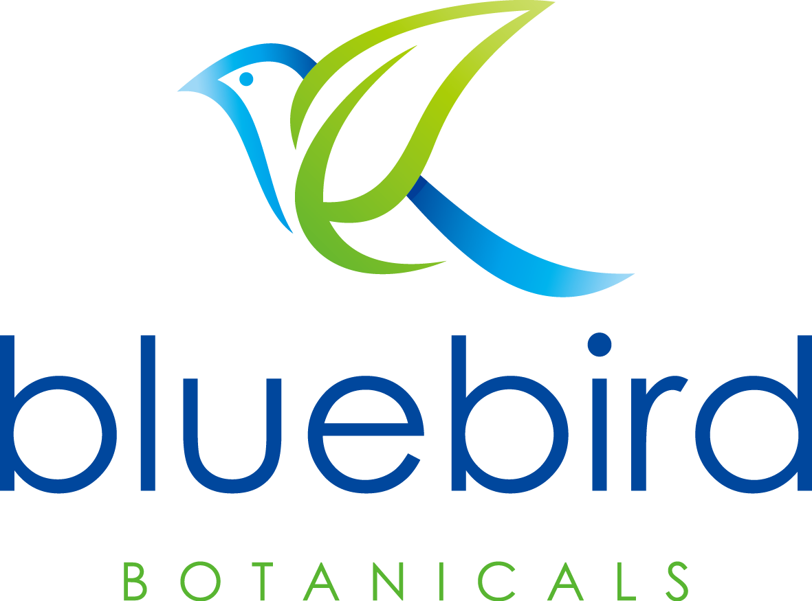 Bluebird logo'