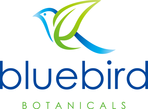 Bluebird logo'