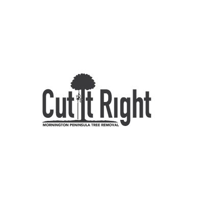 Cut It Right Tree Service'
