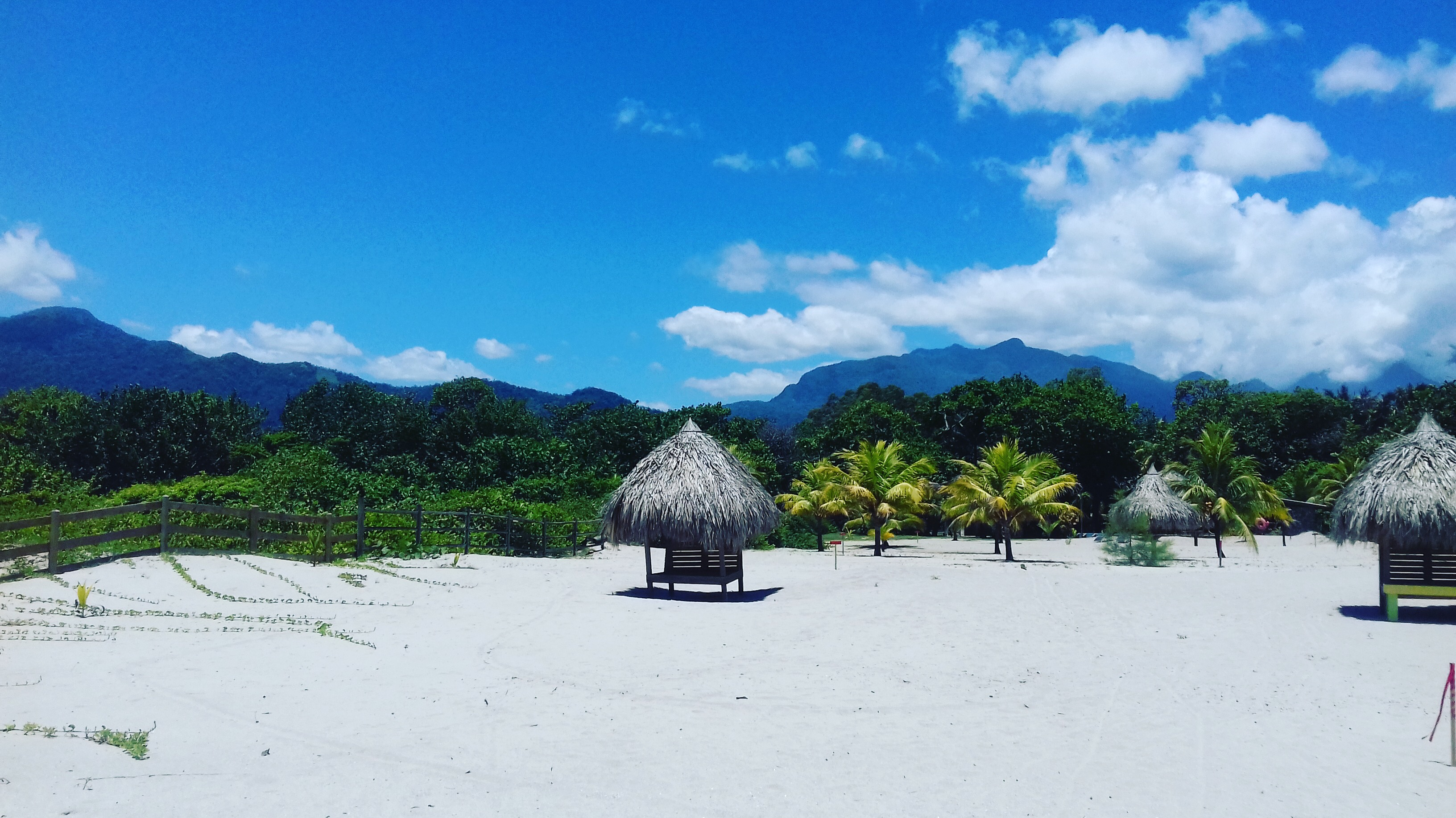 Playa Vida Honduras'