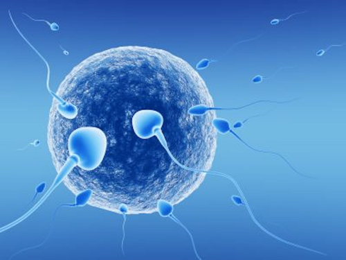 IVF Devices and Consumables Market'