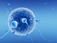 IVF Devices and Consumables Market