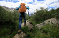 Ella All-In-One Trekking Pole Set to Launch on Indiegogo