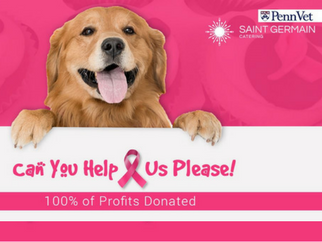 Cupcake Cancer Drive'