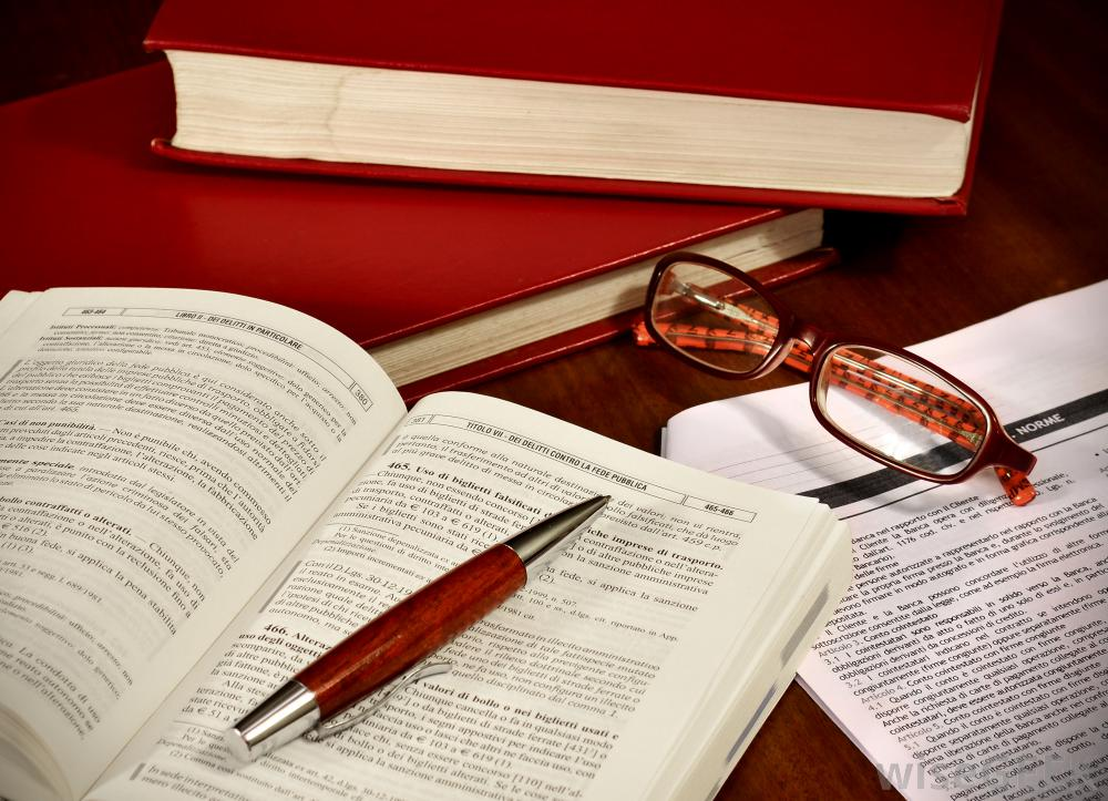 Best Essay Writer'