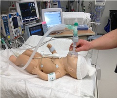 World Mannequin-Based Simulation