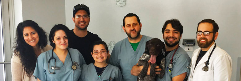 Southeast Veterinary Neurology Team