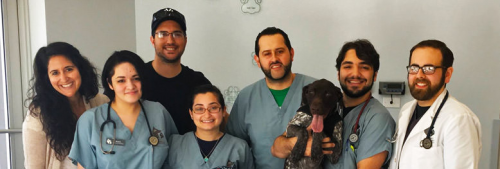 Southeast Veterinary Neurology Team'
