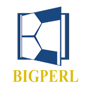 Company Logo For BigPerl Solutions Pvt Ltd'